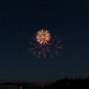 三级片姐弟乱伦
